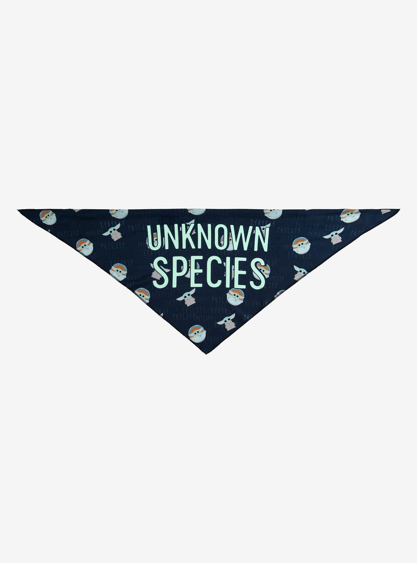 Star Wars The Mandalorian Unknown Species Pet Bandana, MULTI, alternate