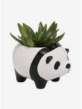 Panda Ceramic Planter, , alternate
