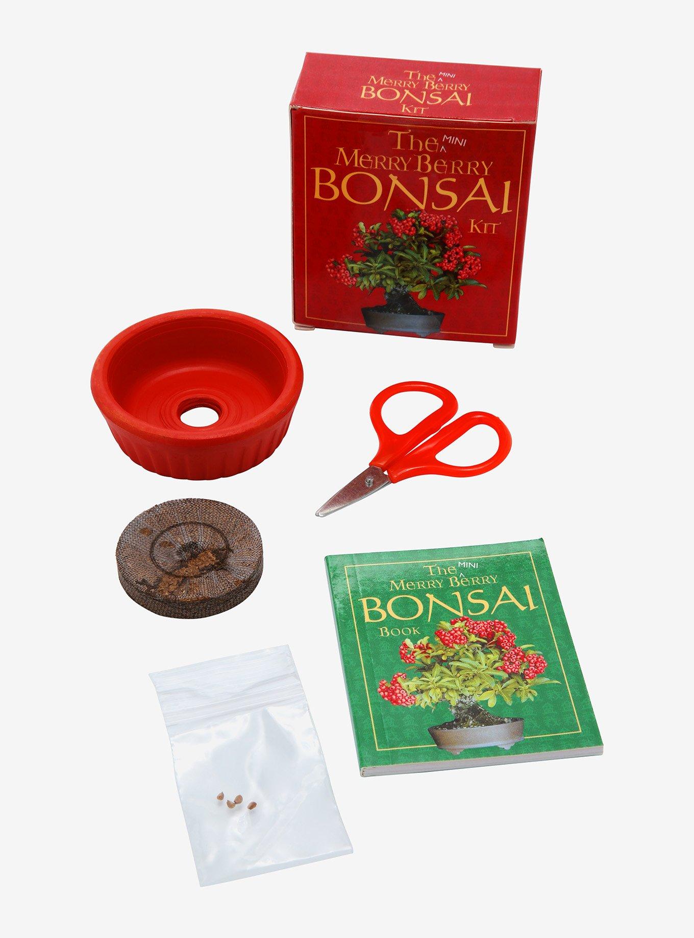 The Mini Merry Berry Bonsai Kit, , alternate