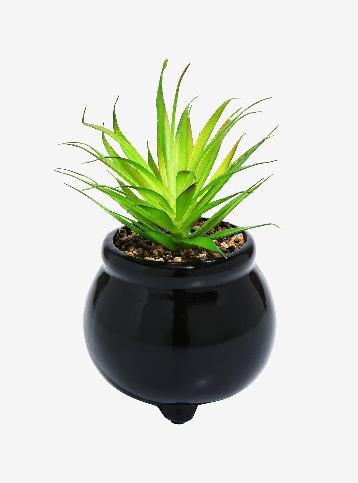 Harry Potter Hogwarts Cauldron Faux Succulent Planter, , alternate