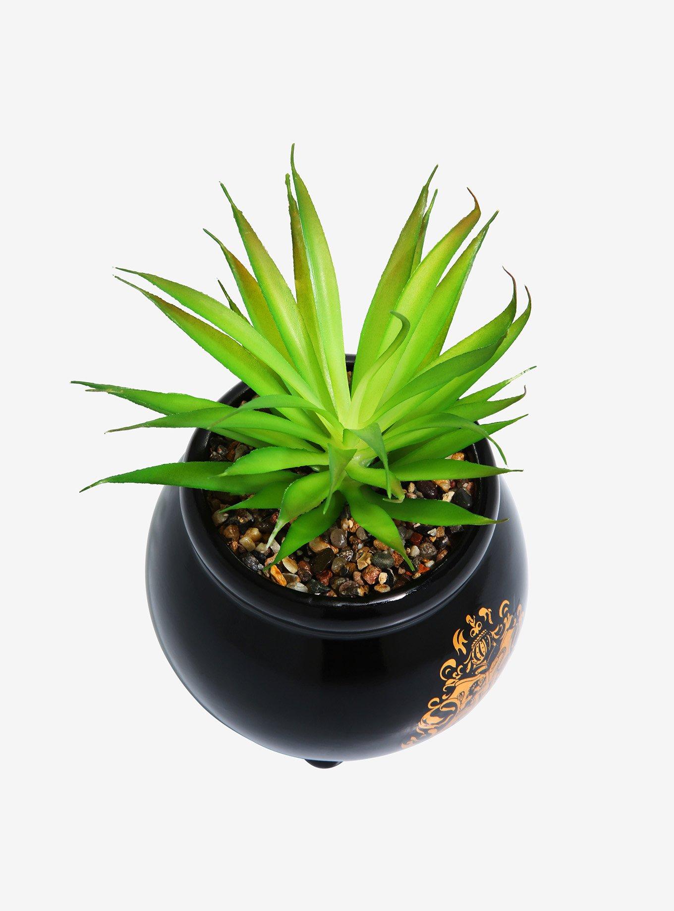 Harry Potter Hogwarts Cauldron Faux Succulent Planter, , alternate