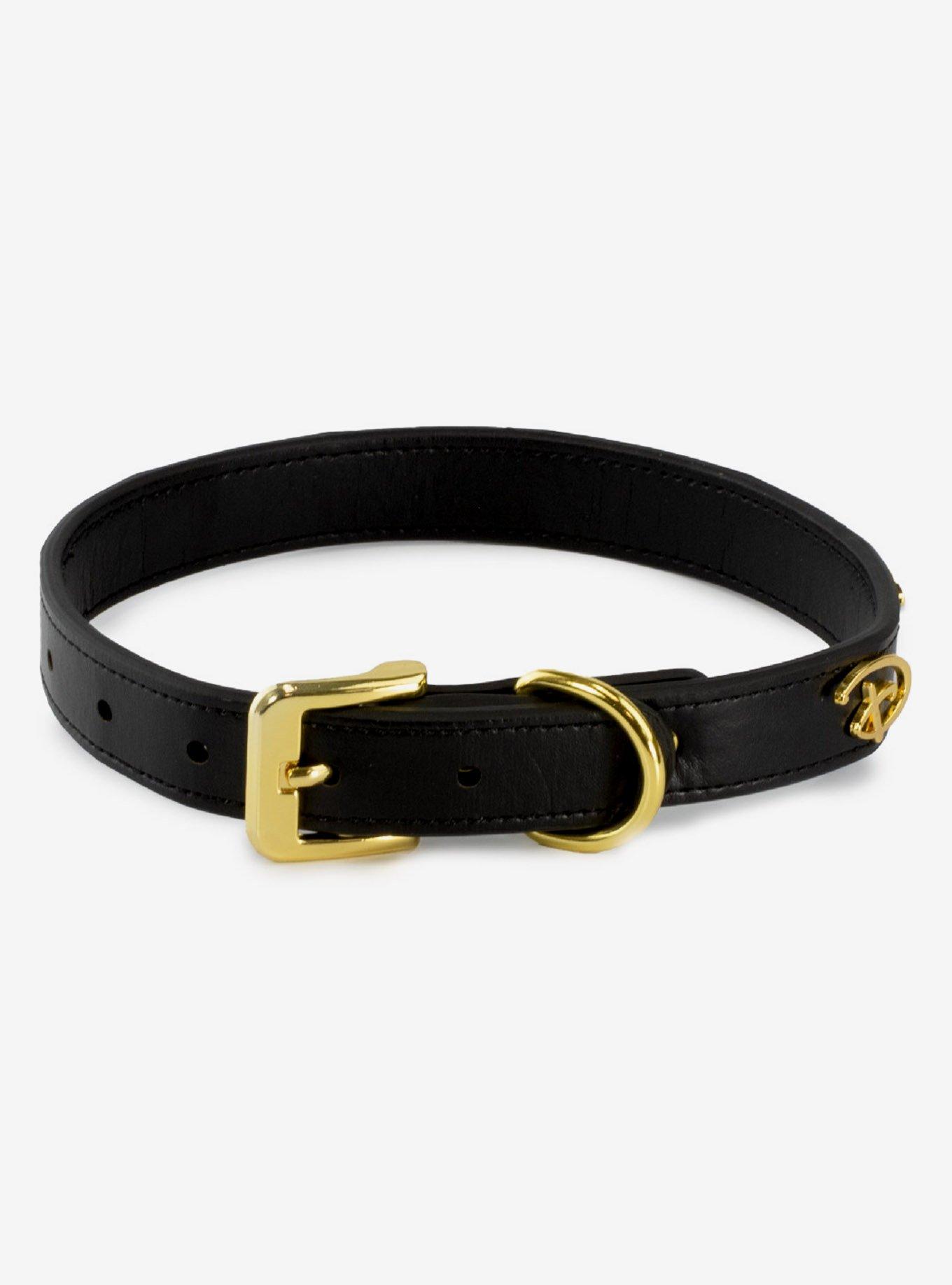 Buckle-Down Disney Signature D Dog Collar, MULTI, alternate