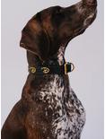 Buckle-Down Disney Signature D Dog Collar, MULTI, alternate