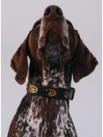 Buckle-Down Disney Signature D Dog Collar, MULTI, alternate