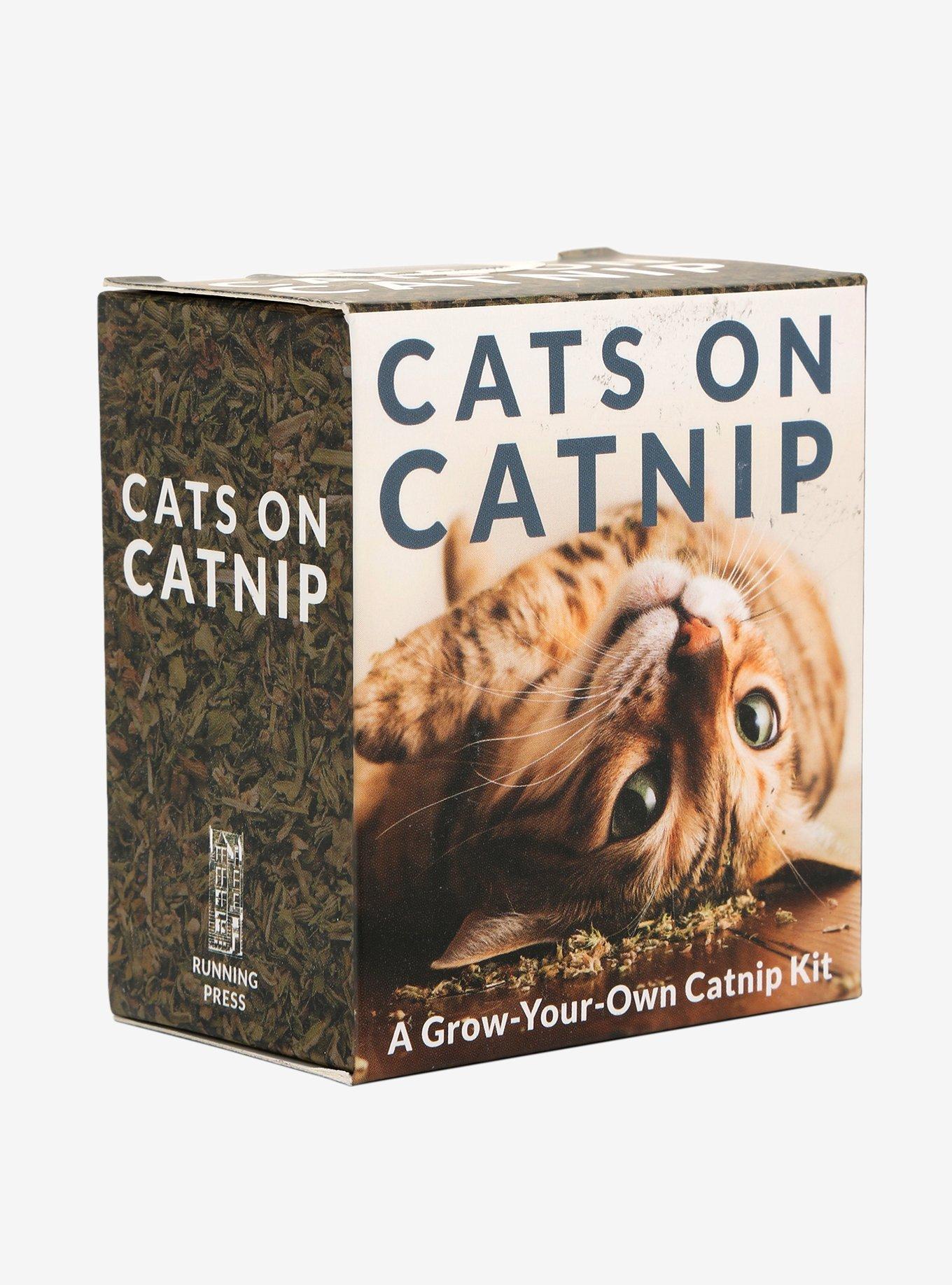 Cats on Catnip: A Grow-Your-Own Catnip Kit, , alternate
