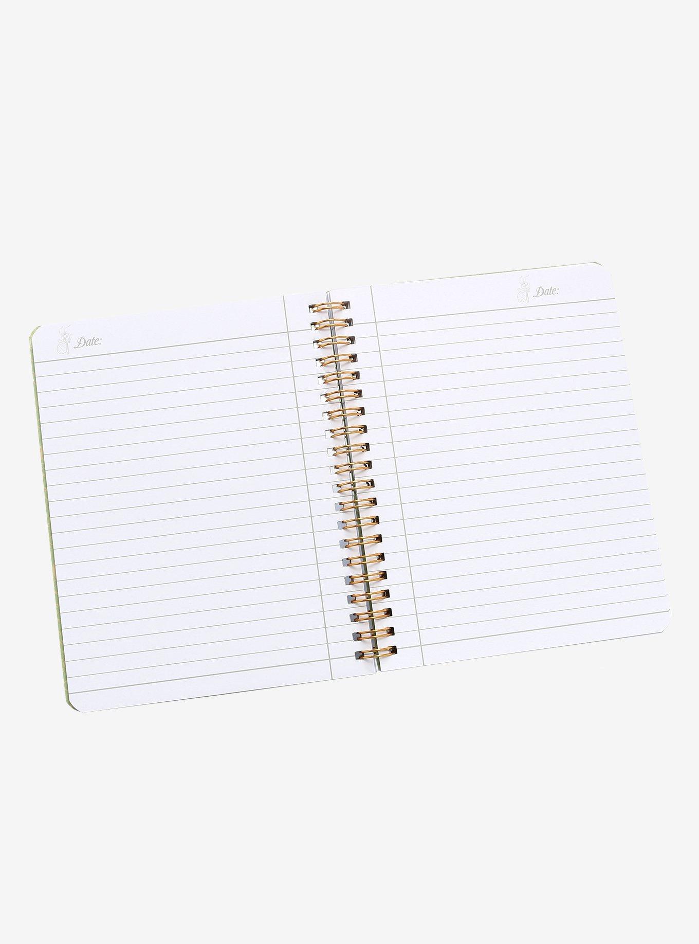 Cakeworthy Disney Princess and The Frog Tiana & Naveen Spiral Notebook, , alternate