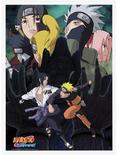 Naruto Shippuden Shinobi Boxed Poster Set, , alternate