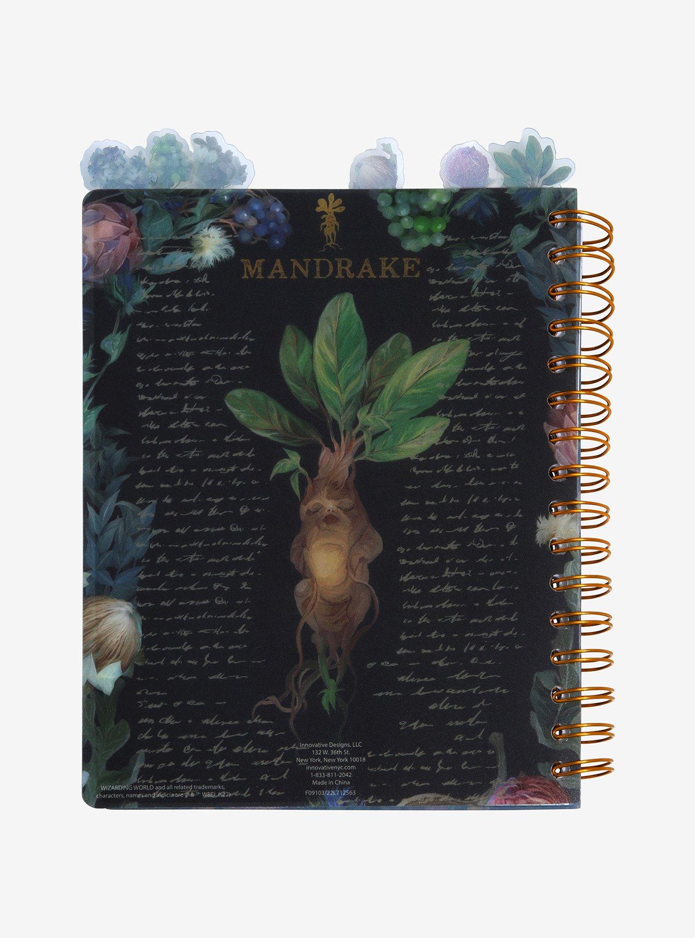 Harry Potter Mandrake Tabbed Journal, , alternate