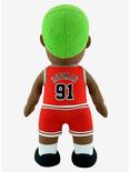 NBA Chicago Bulls Dennis Rodman Bleacher Creatures Plush, , alternate