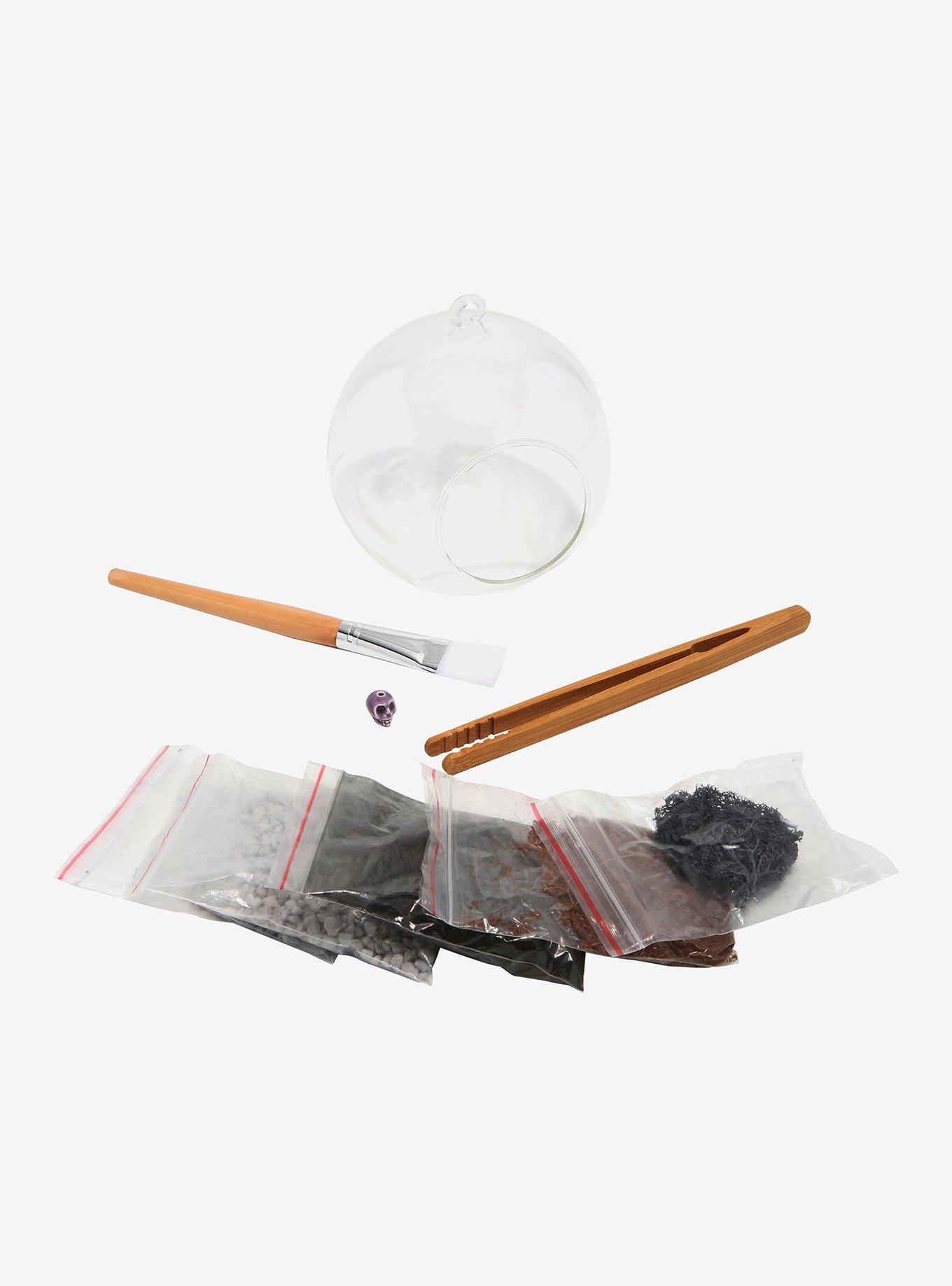 Skull Sceneterrarium Kit Aerium Kit Hanging Terrarium Table Top