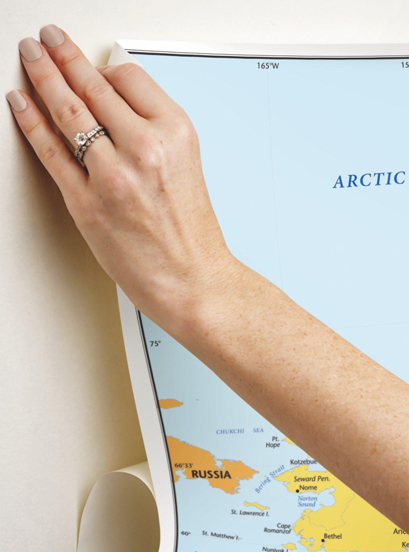 World Map Educational Mural Peel & Stick Wallpaper, , alternate