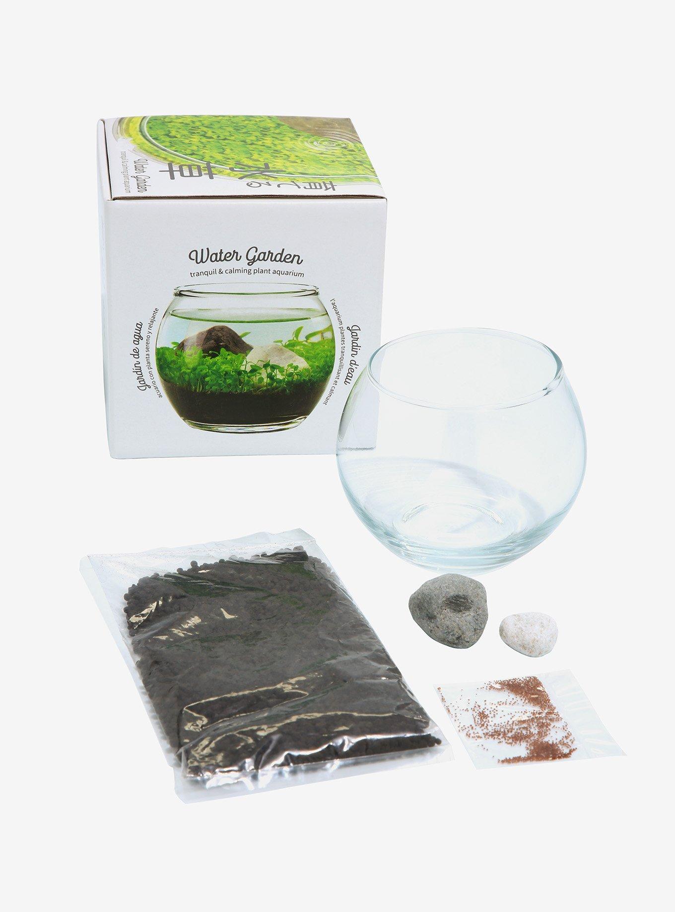 Water Garden Mini Plant Aquarium, , alternate