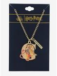 Harry Potter Gryffindor Lion Stained Glass Necklace - BoxLunch Exclusive, , alternate