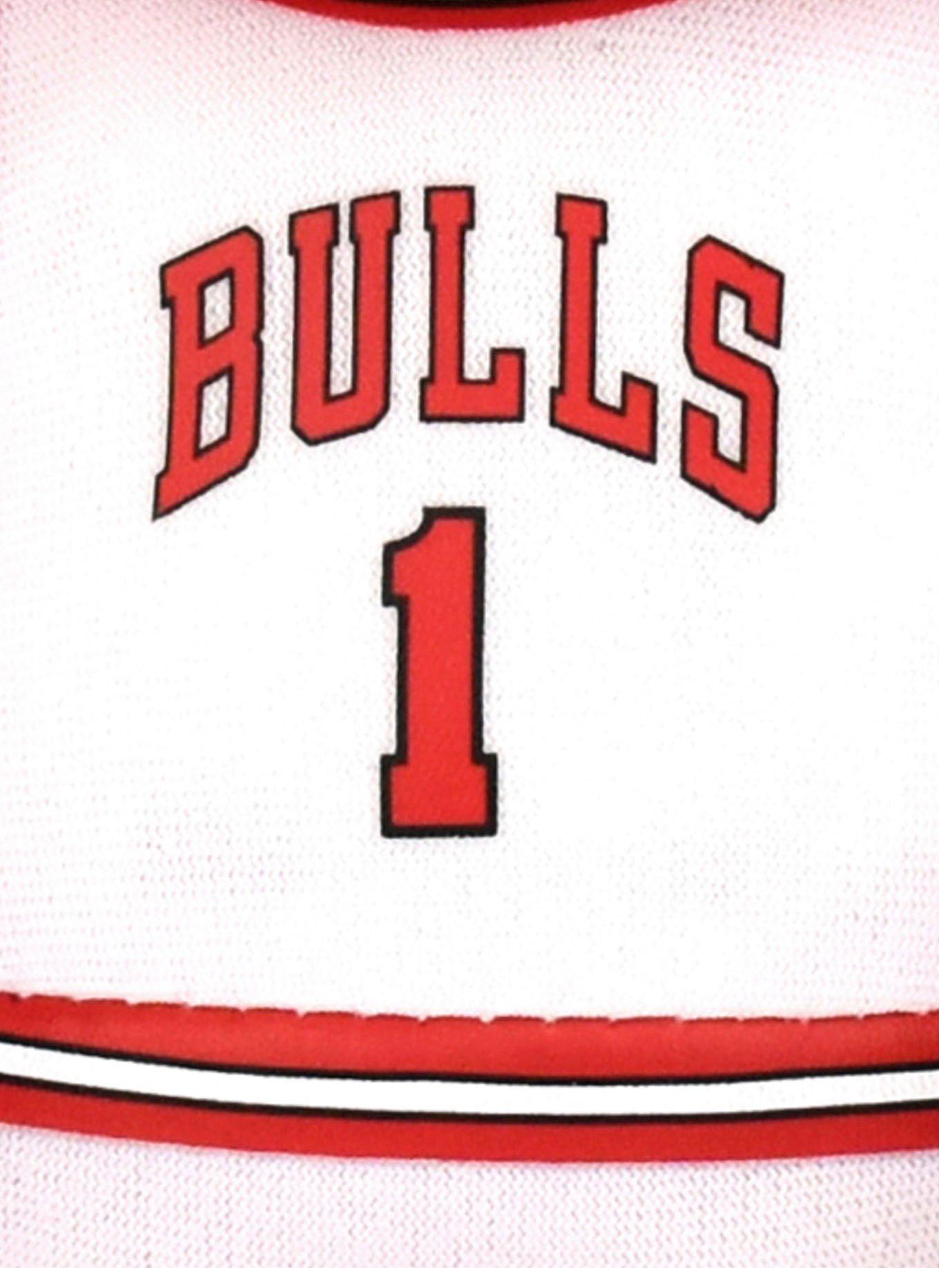 NBA Chicago Bulls Benny The Bull 10