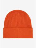 Avatar: The Last Airbender Air Nomads Embroidered Cuff Beanie - BoxLunch Exclusive, , alternate