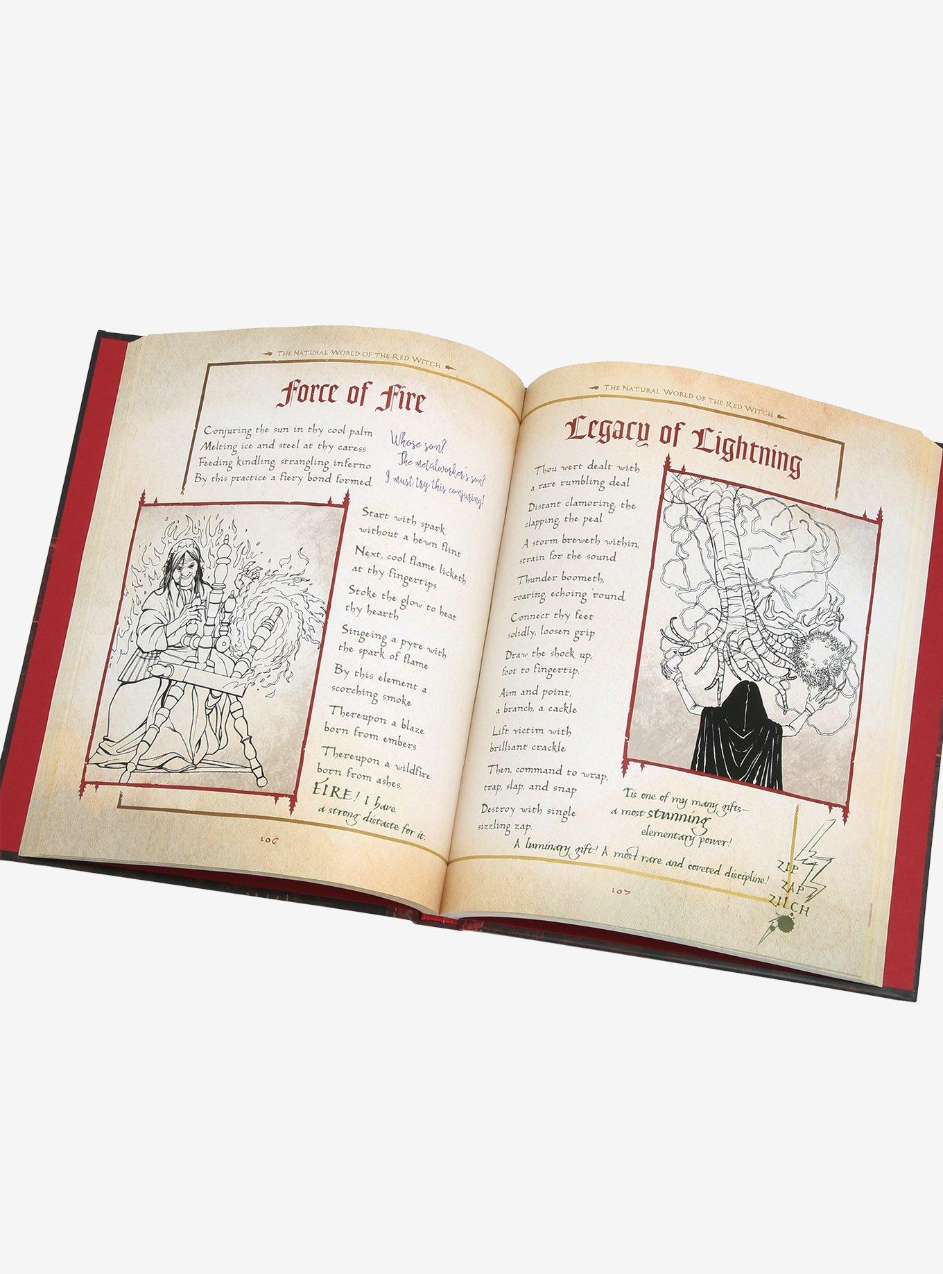 Disney Hocus Pocus Spell Book: A Guide to Spells, Potions, and Hexes for the Aspiring Salem Witch Book, , hi-res