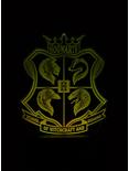 Harry Potter Hogwarts Crest Color-Changing LED Acrylic Light, , alternate