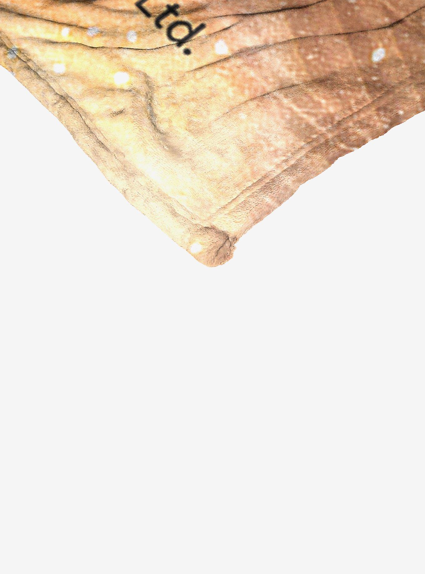 Star Wars Jedi Master Throw Blanket, , alternate