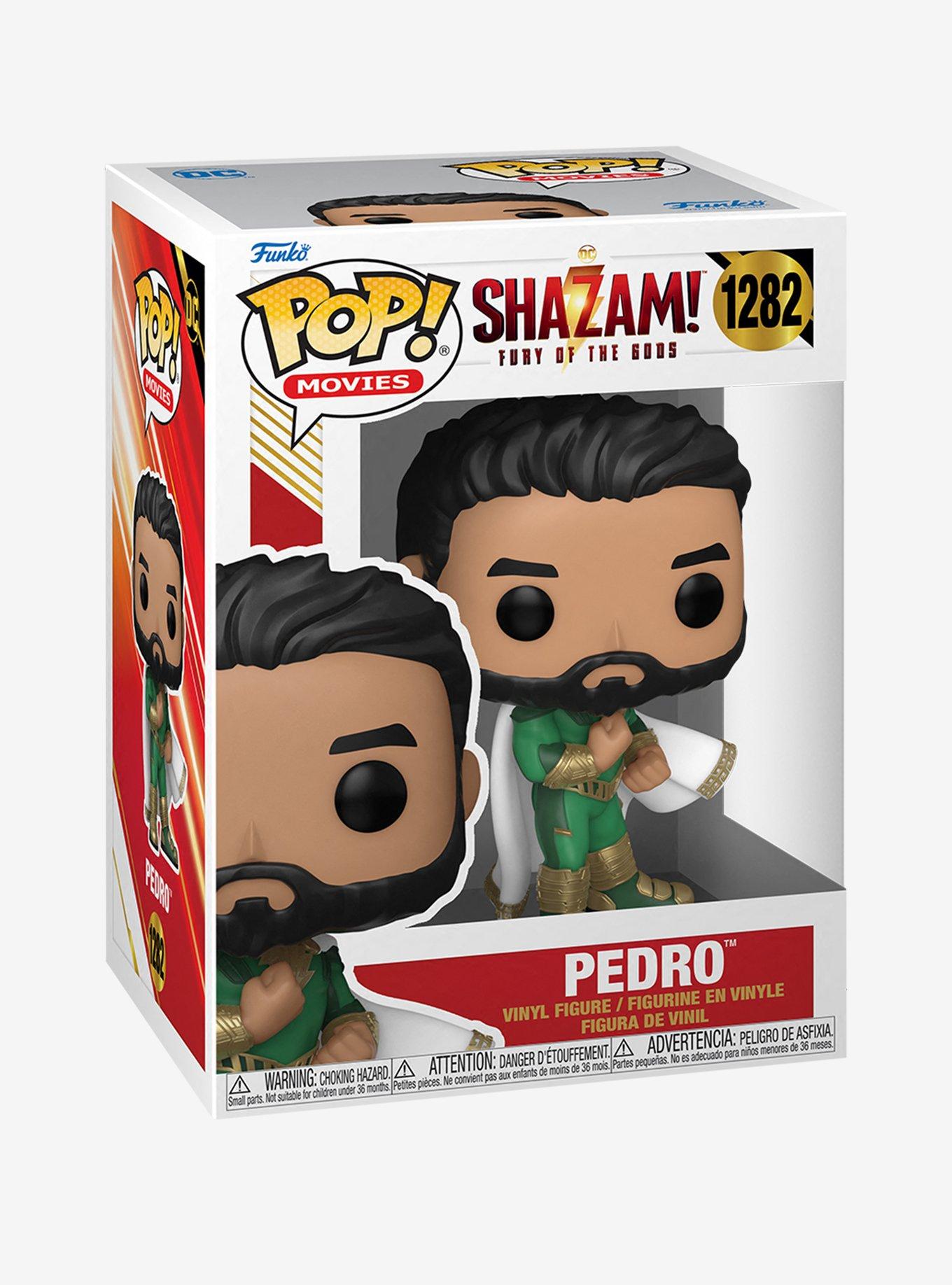 Funko DC Comics Pop! Movies Shazam!: Fury Of The Gods Pedro Vinyl Figure, , hi-res