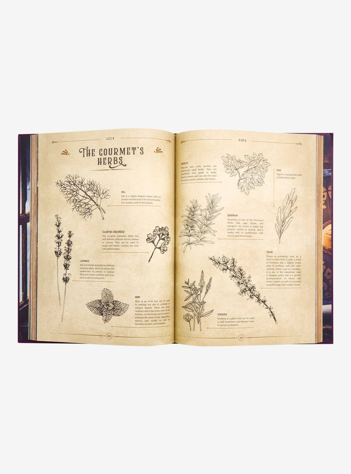 The Unofficial Zelda Cookbook, , alternate