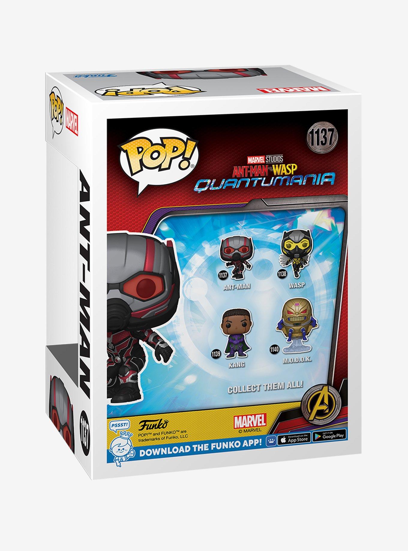 Funko Pop! Marvel Ant-Man and The Wasp: Quantumania Ant-Man Vinyl Bobble-Head, , alternate