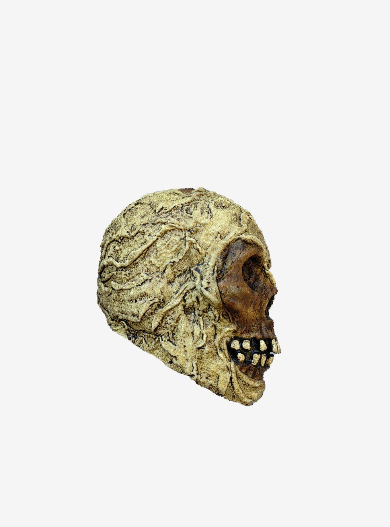 Decorative Mummy Skull, , alternate
