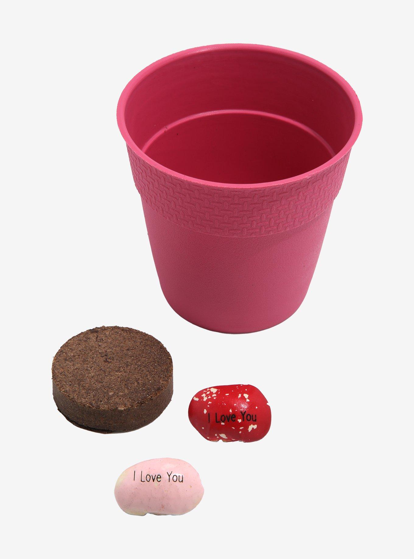 I Love You Bean, , alternate