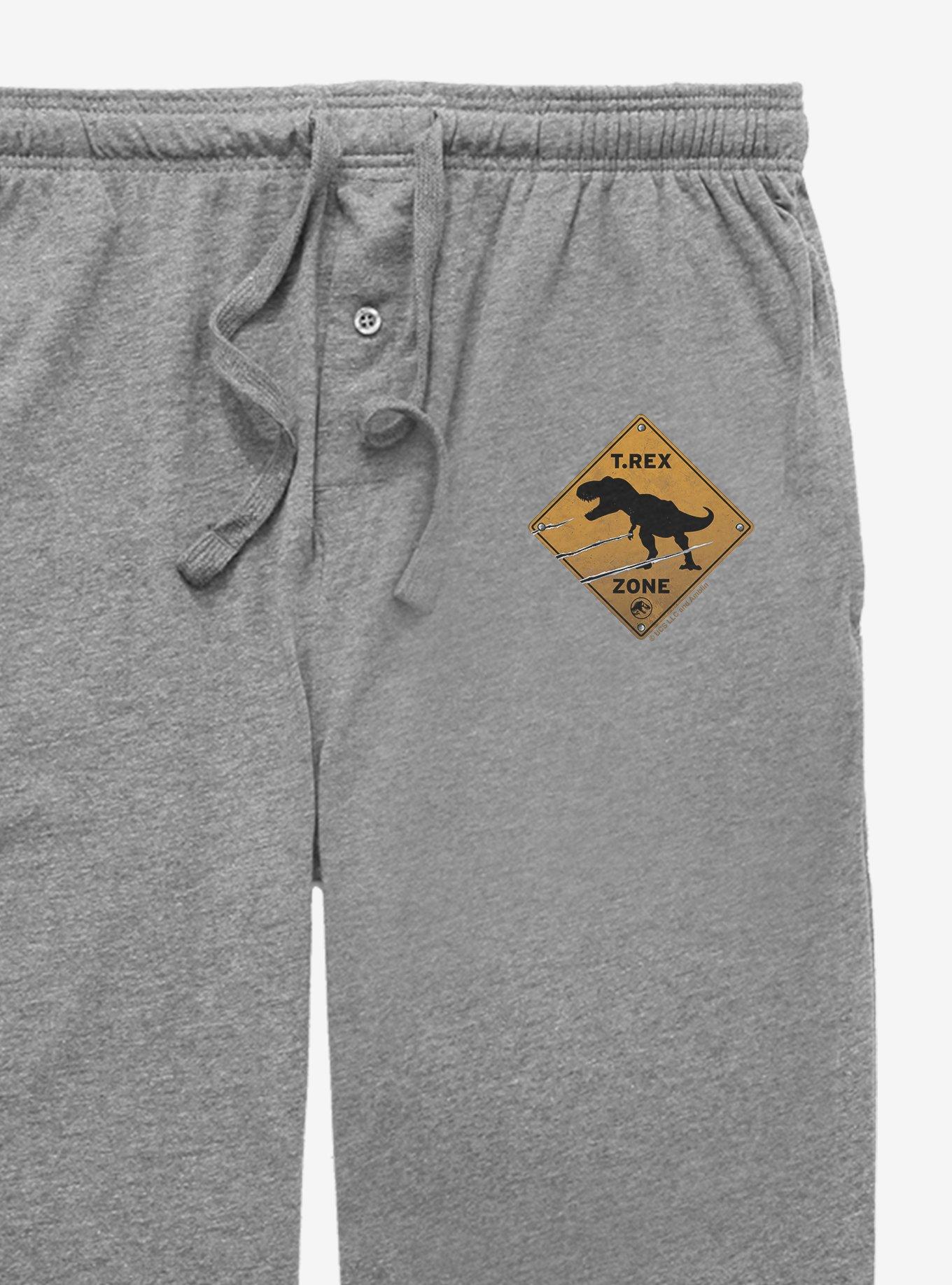 Jurassic World T-Rex Zone Sign Pajama Pants, GRAPHITE HEATHER, alternate