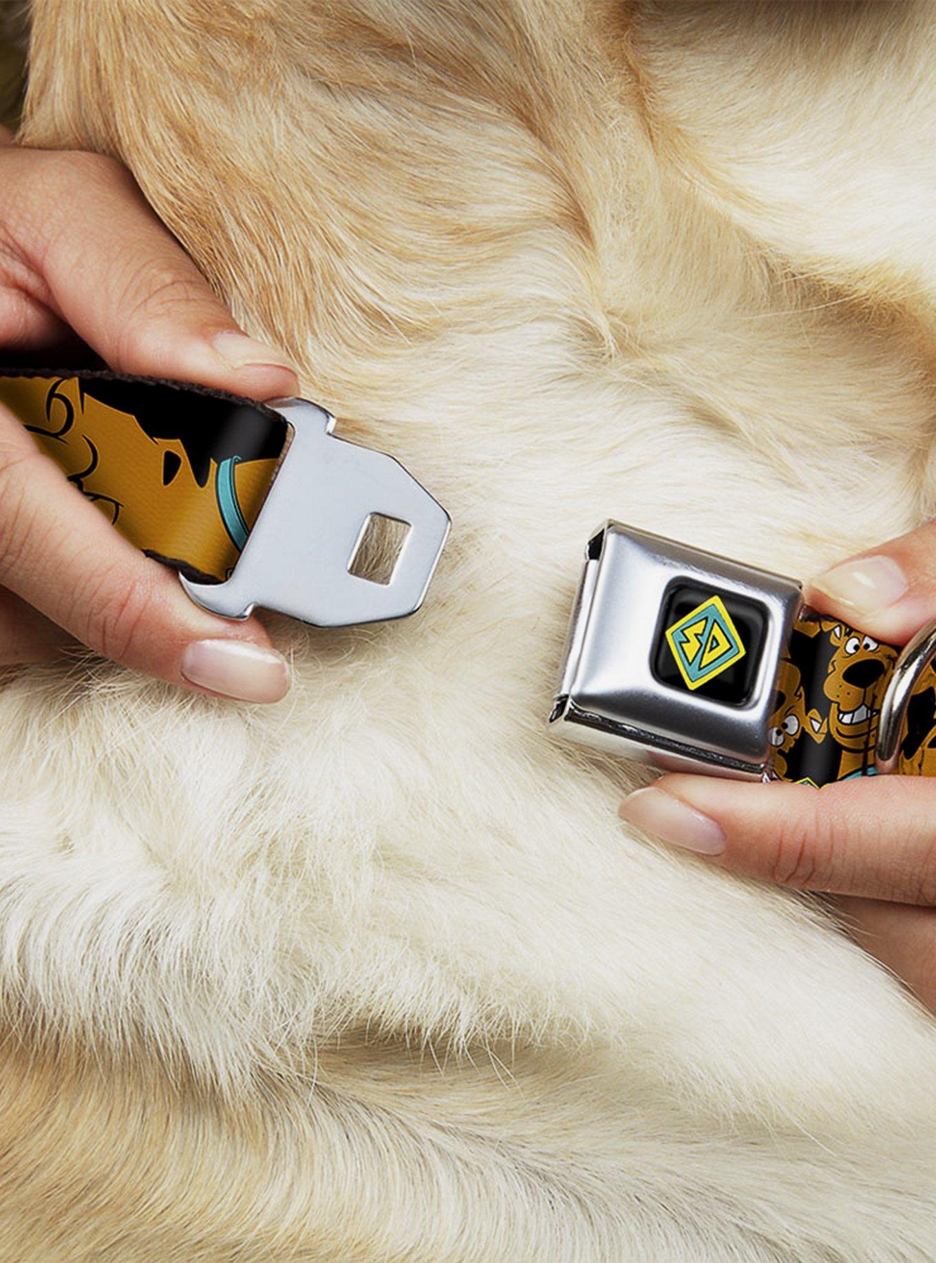 Scooby-Doo! Stacked Close Up Black Seatbelt Buckle Dog Collar, , hi-res