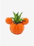 Disney Mickey Mouse Jack-O'-Lantern Faux Light-Up Mini Planter, , alternate