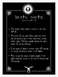Death Note Light & Death Note Boxed Poster Set, , alternate