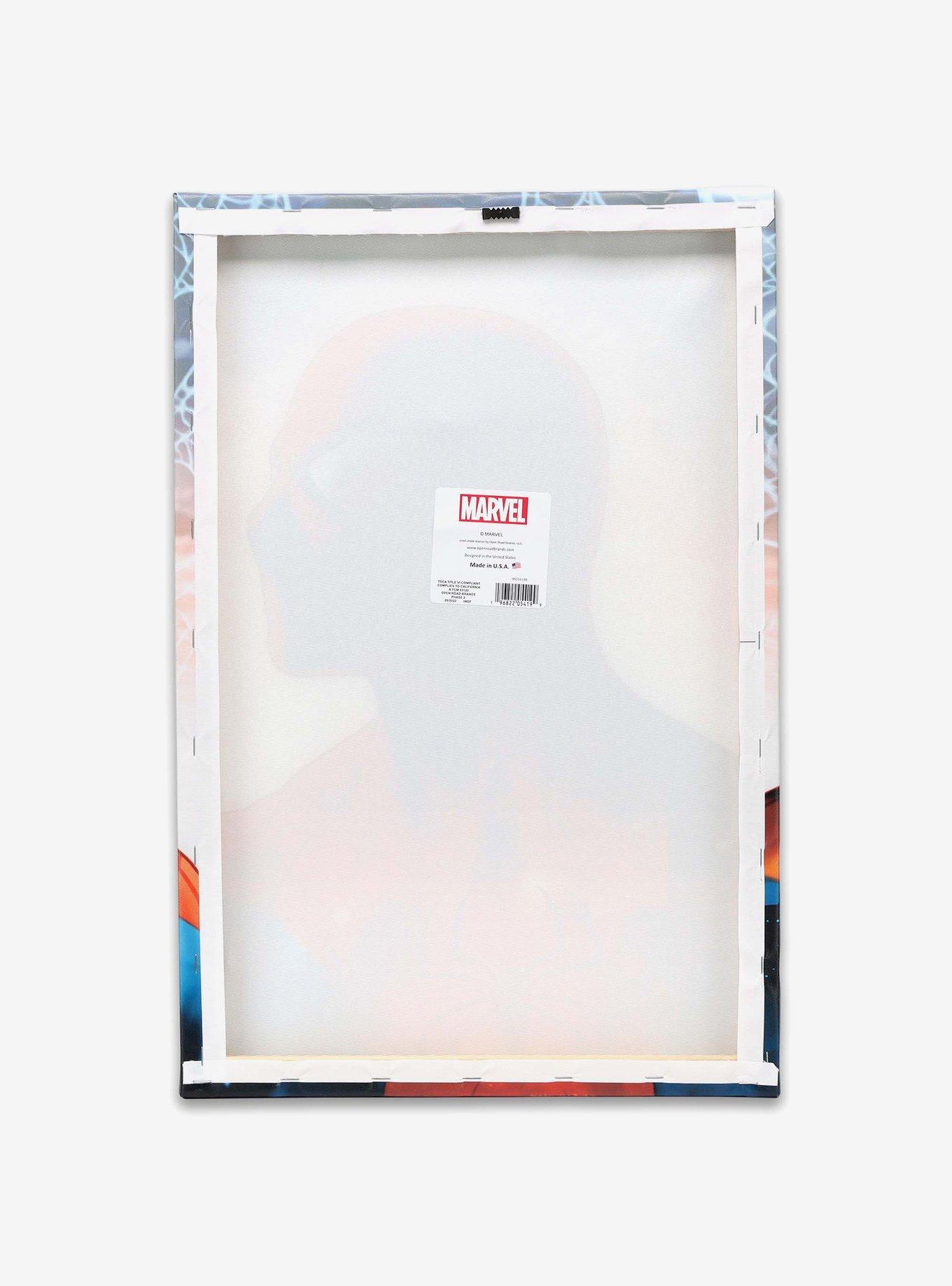 Marvel Spider-Man Headshot Canvas Wall Decor, , alternate