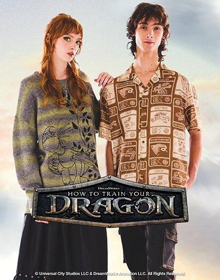 How To Train Your Dragon
