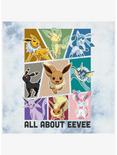 Pokemon All About Eevee Tie-Dye Womens Crop T-Shirt, WHITEBLUE, alternate