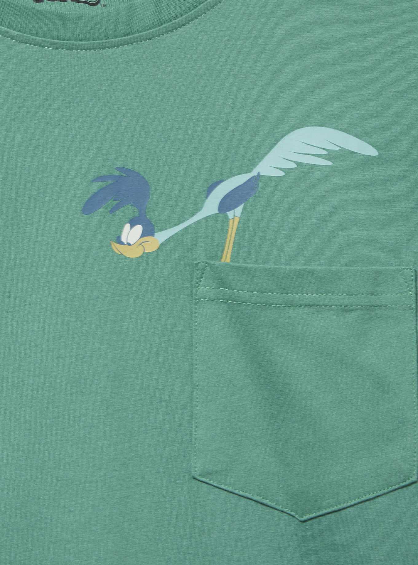 Looney Tunes Wile E. Coyote & Road Runner T-Shirt - BoxLunch Exclusive, , hi-res