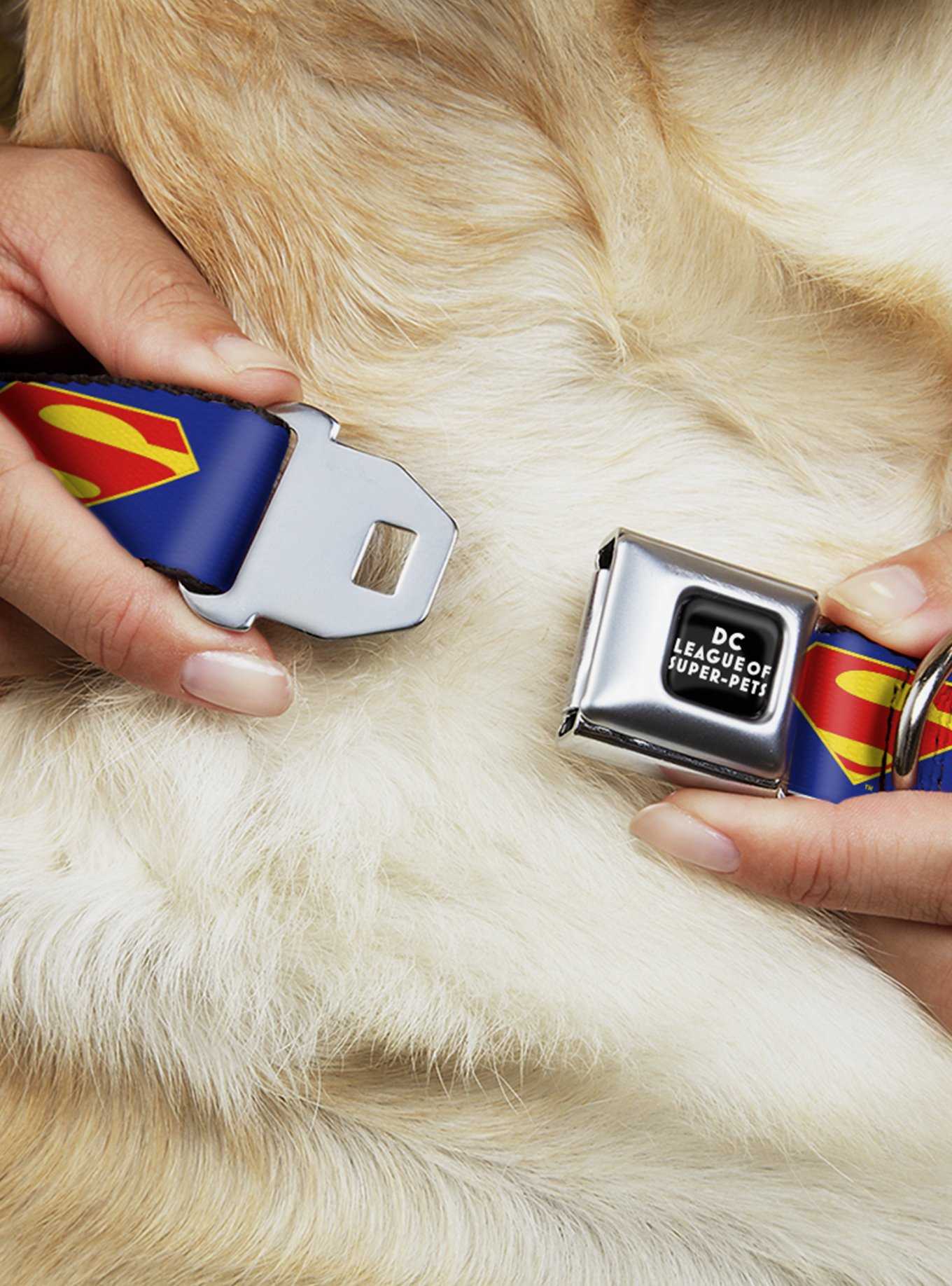 DC League Of Super-Pets Superman Shield Logo Seatbelt Buckle Dog Collar, , hi-res