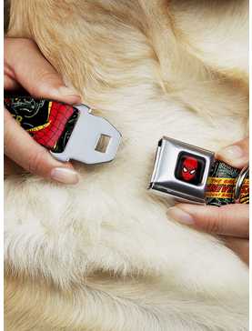 Marvel The Amazing Spider-Man 100Th Anniversary Cover Seatbelt Buckle Pet Collar, , hi-res