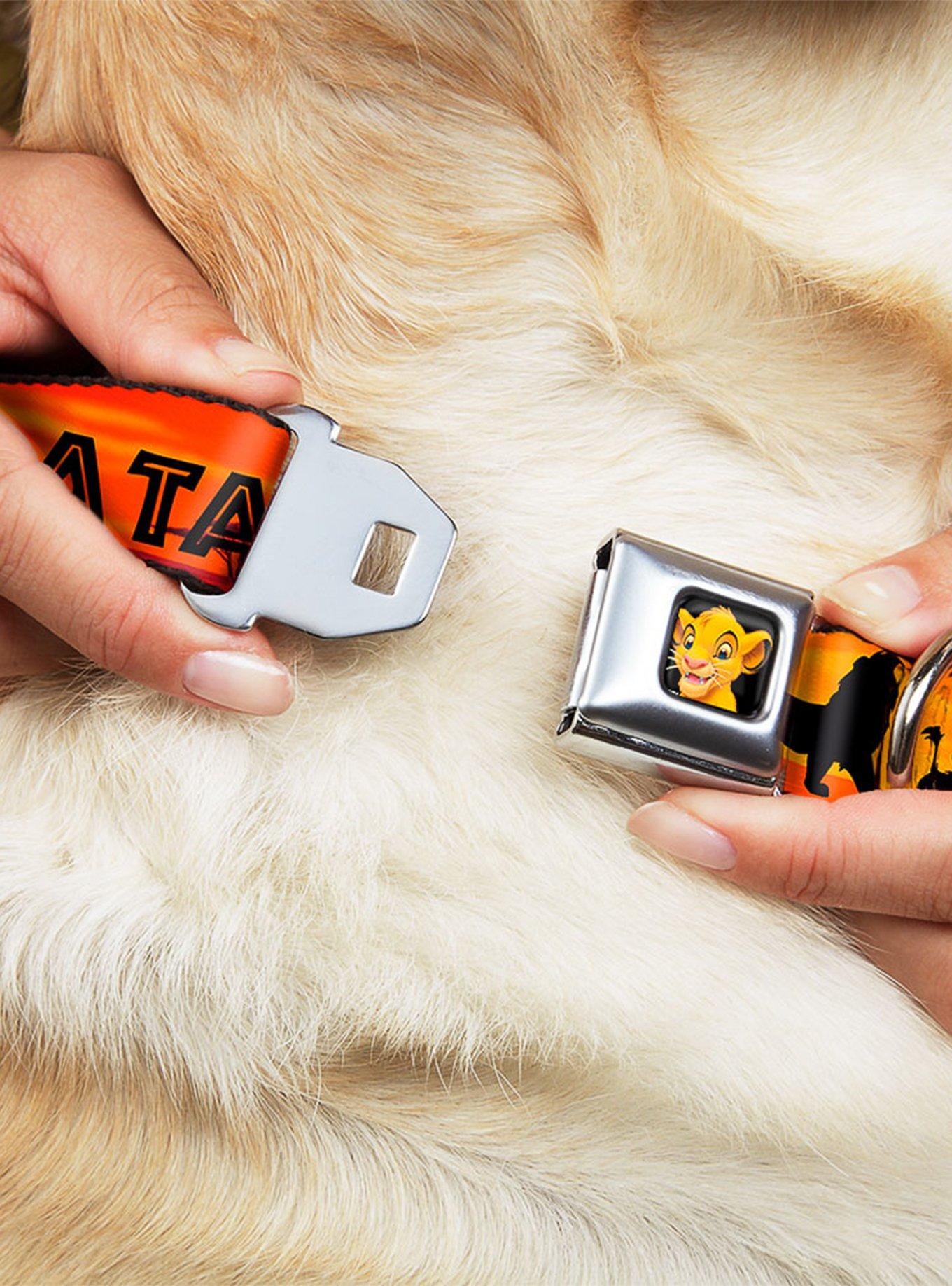 Disney The Lion King Hakuna Matata Sunset Seatbelt Buckle Pet Collar, ORANGE, alternate