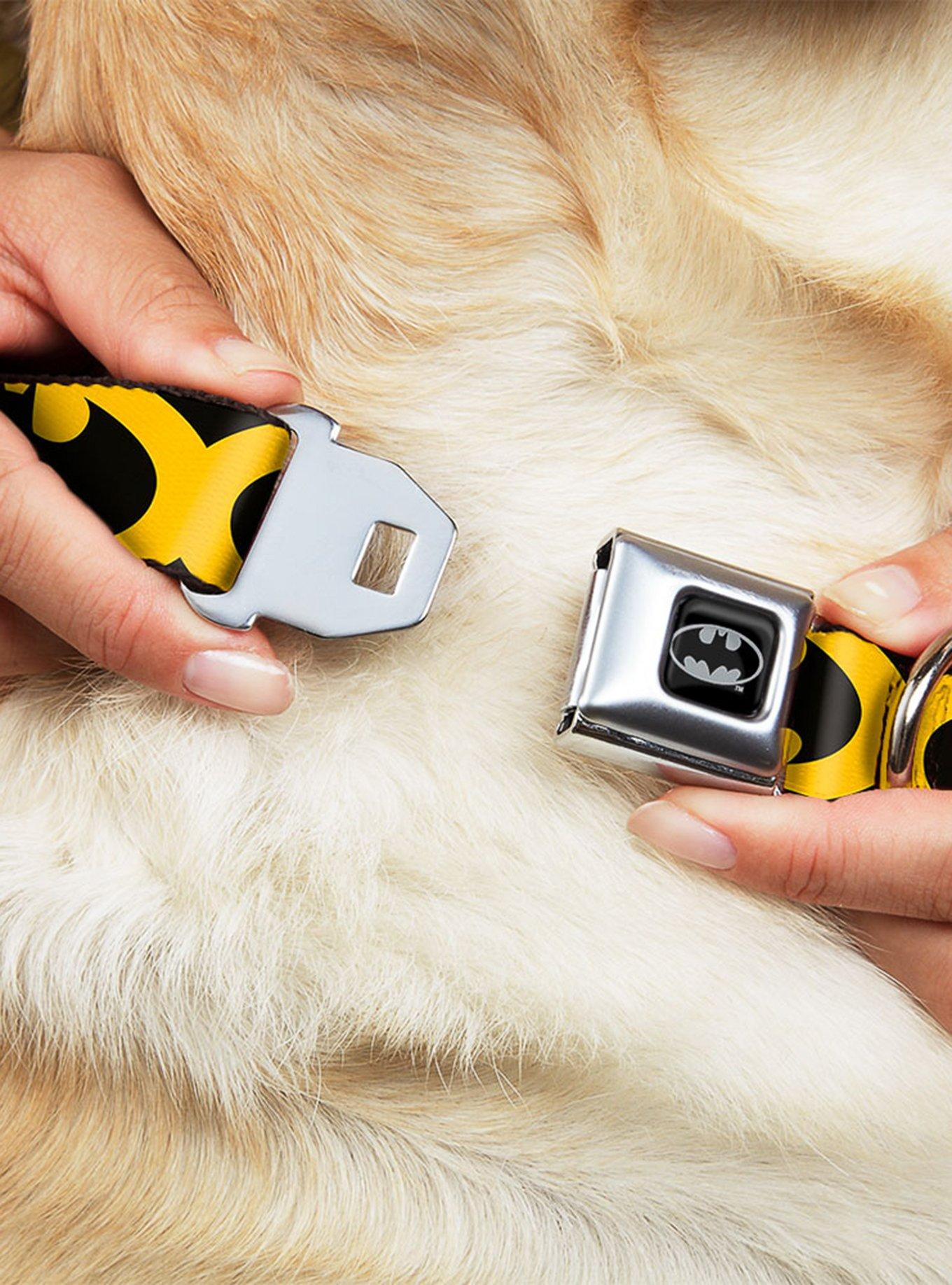 DC Comics Justice League Bat Signal 5 Black Yellow Seatbelt Buckle Pet Collar