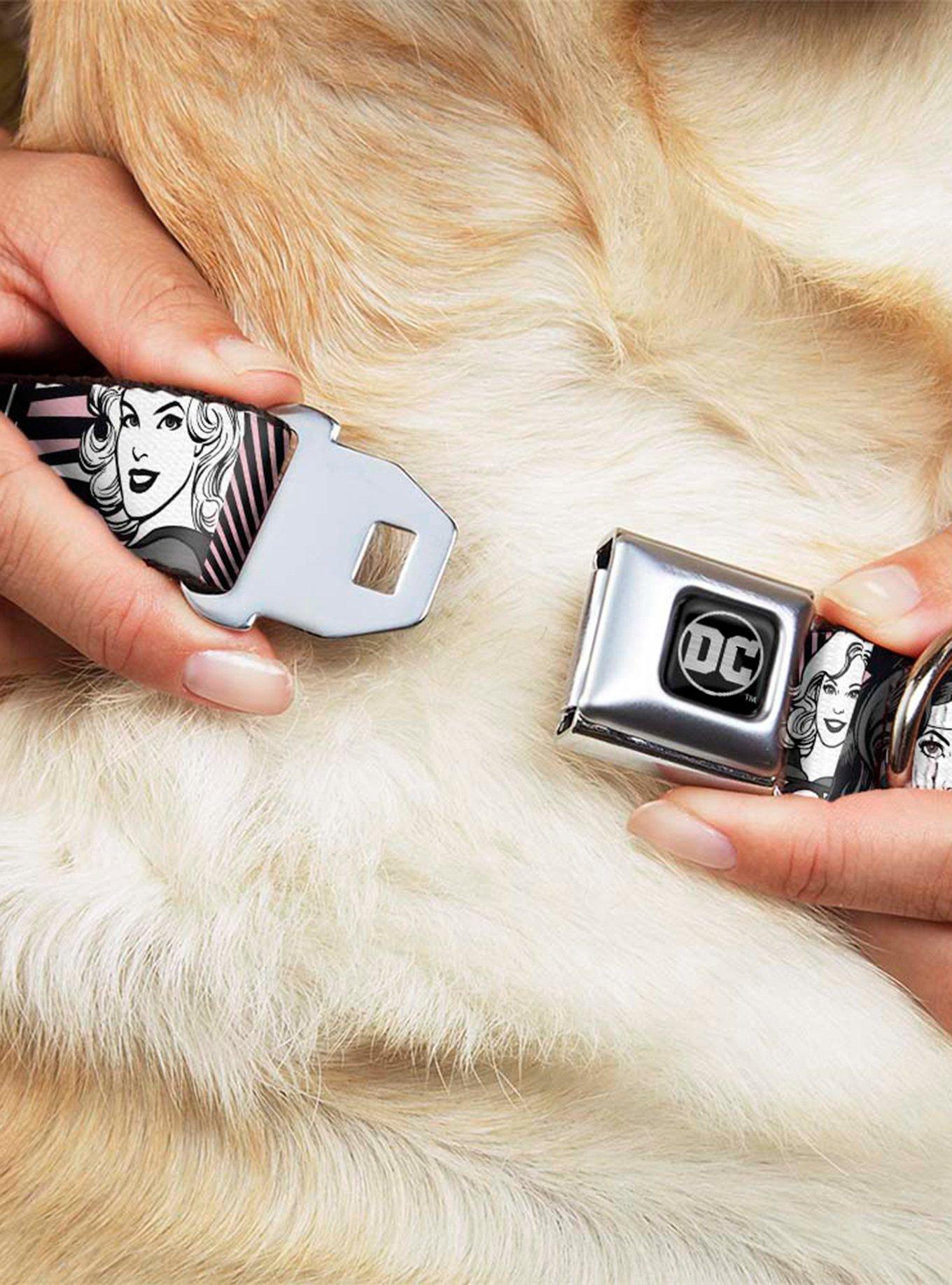 DC Comics Justice League Batgirl Wonder Woman Supergirl Retro Seatbelt Buckle Pet Collar