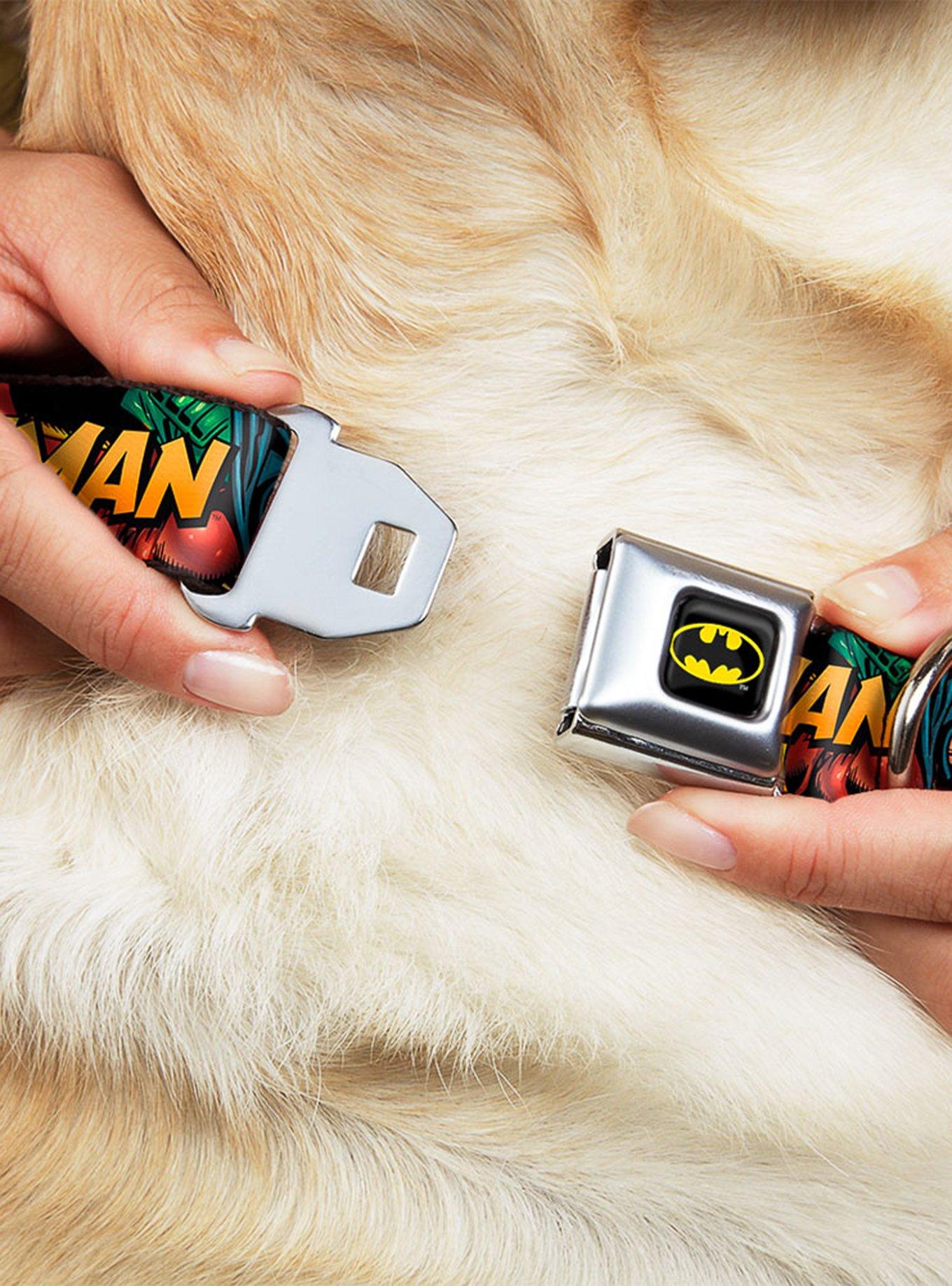 DC Comics Justice League Batman Robin In Action Text Seatbelt Buckle Pet Collar, , hi-res