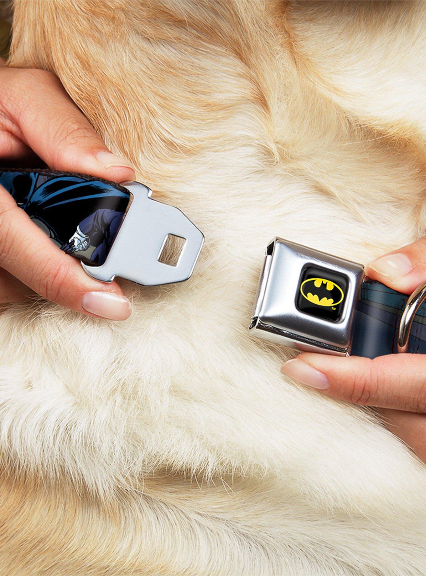 DC Comics Justice League Batman Battling Villains In Tunnel Seatbelt Buckle Pet Collar, , hi-res