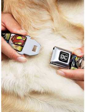 DC Comics Justice League Superheroines Seatbelt Buckle Pet Collar, , hi-res