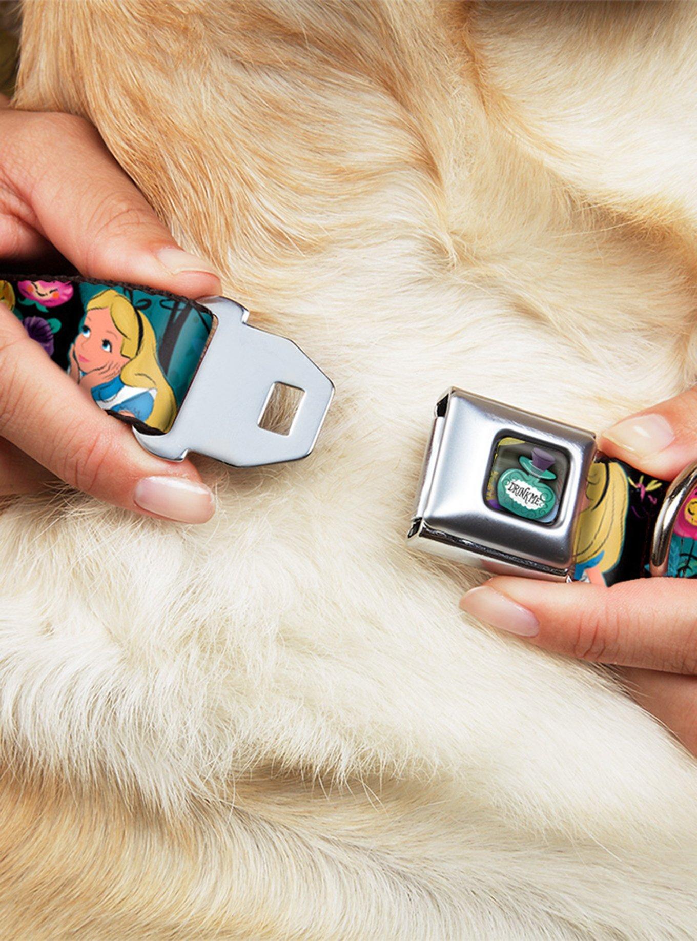 Disney Alice Wonderland Cheshire Cat Flowers Poses Seatbelt Buckle Dog Collar