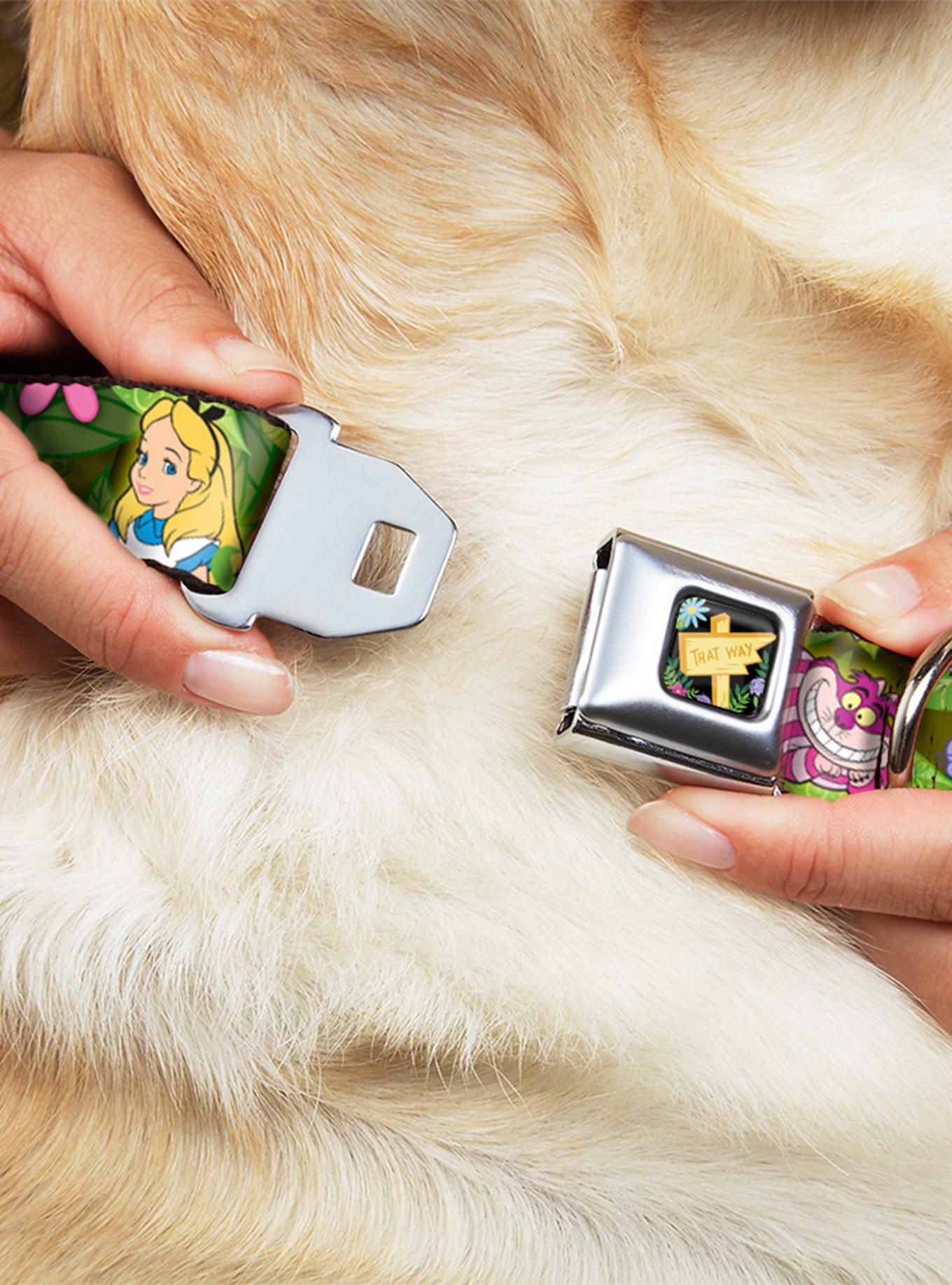 Disney Alice Wonderland Cheshire Cat Flowers Seatbelt Buckle Dog Collar