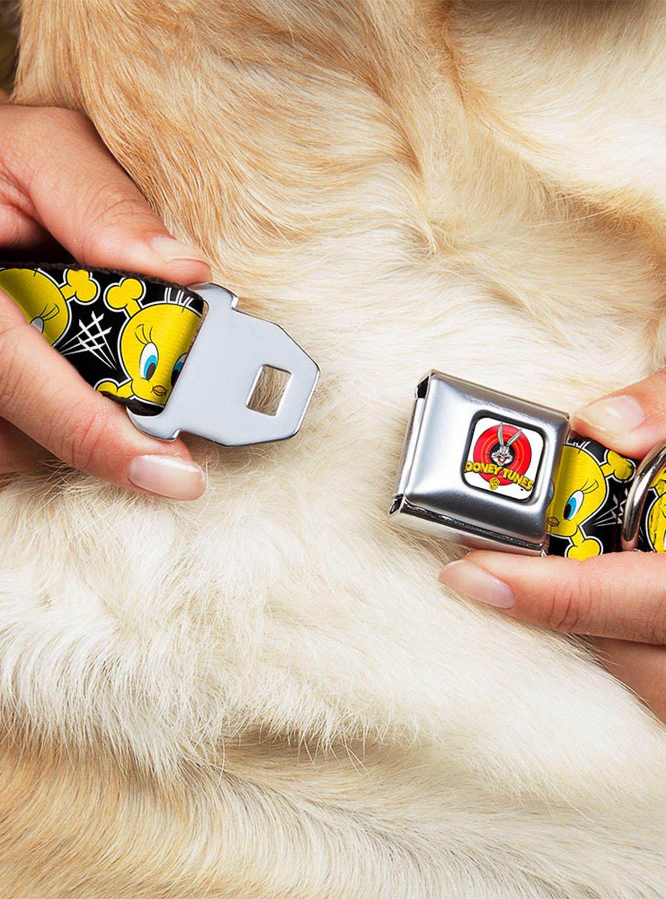 Looney Tunes Tweety Bird Crossbones Seatbelt Buckle Dog Collar, , hi-res