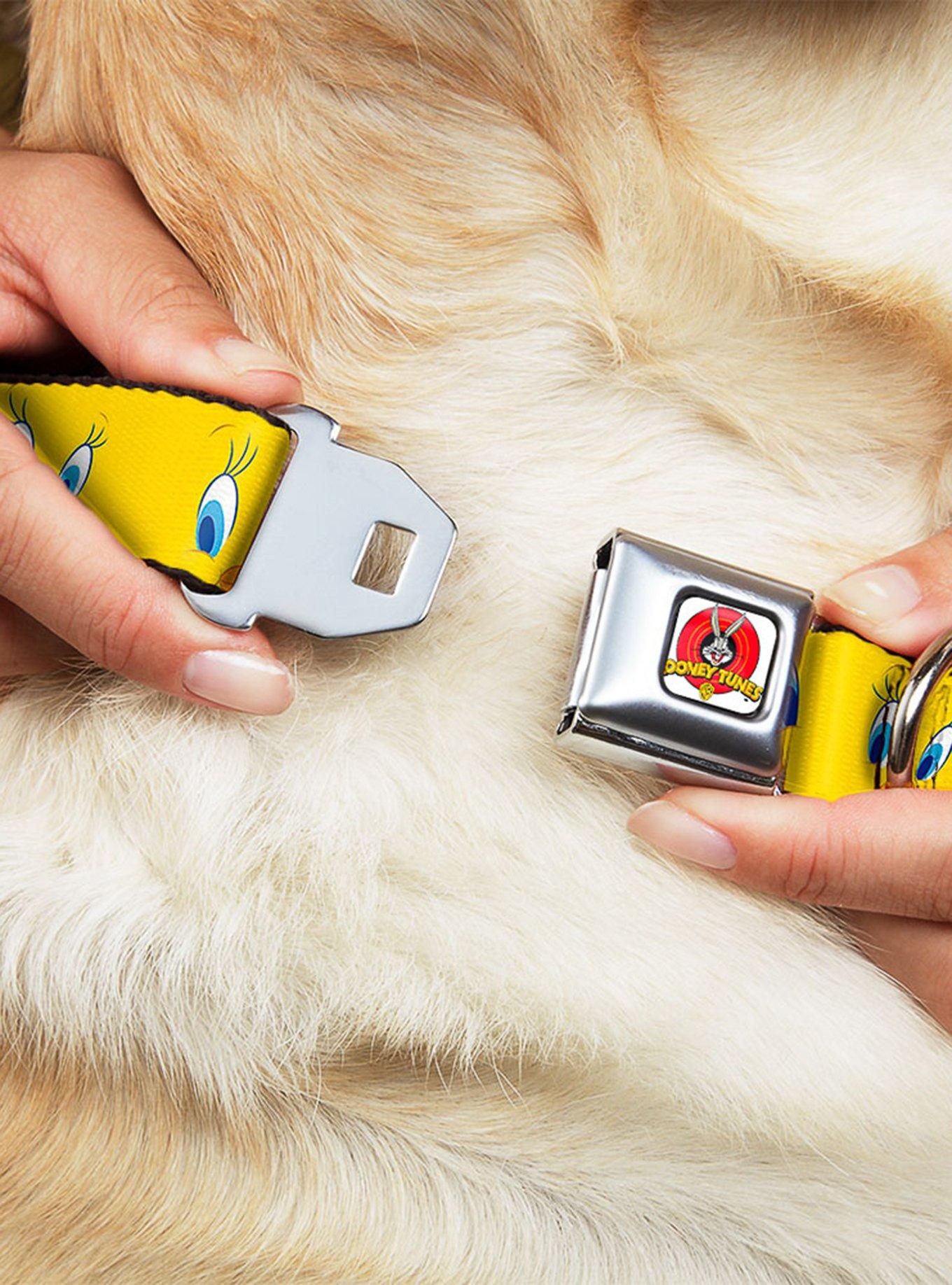 Looney Tunes Tweety Bird Expressions 2 Seatbelt Buckle Dog Collar, , hi-res