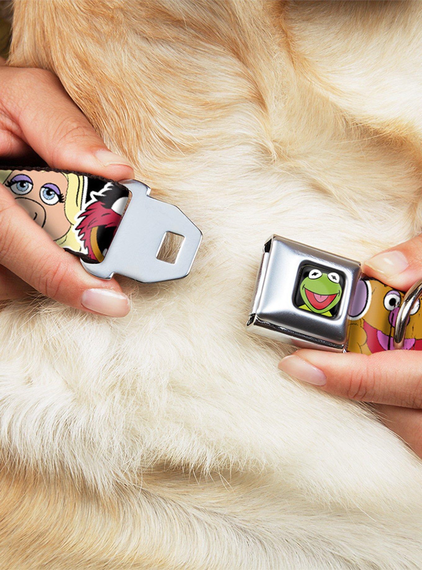 Disney The Muppets Close Up Black Seatbelt Buckle Dog Collar, , hi-res