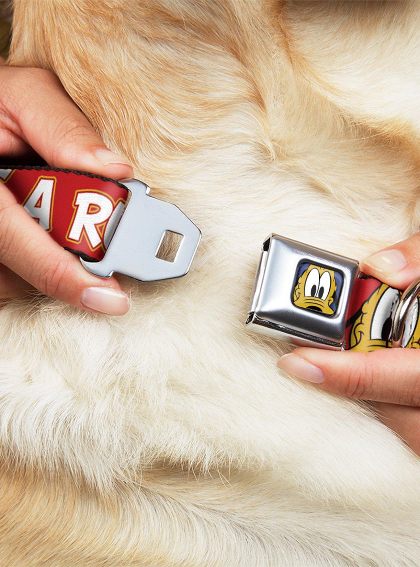 Disney Pluto Its A Ruff Life Seatbelt Buckle Dog Collar, , hi-res