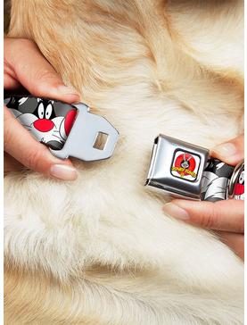 Plus Size Looney Tunes Sylvester The Cat Gray Seatbelt Buckle Dog Collar, , hi-res